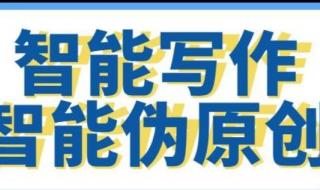 国际聊天软件排名 关键词排名优化软件