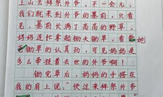 清明的记叙文结尾 清明节的作文怎么写