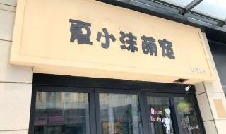 开一家宠物店需要多少钱 开家宠物店要多少钱